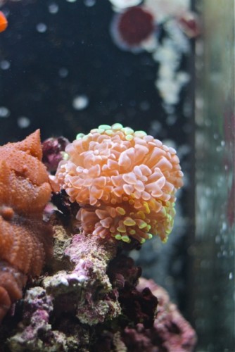IMG_2249_2.jpg