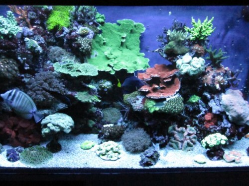 049 [640x480].JPG