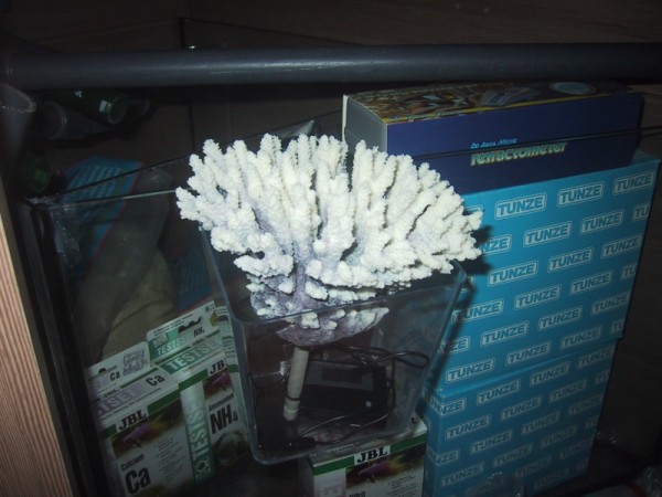 BTN modul v 238 (600 x 450).jpg