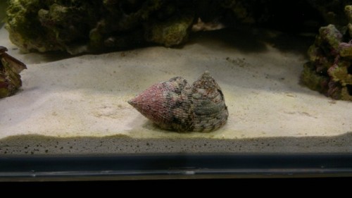 27102010081.jpg