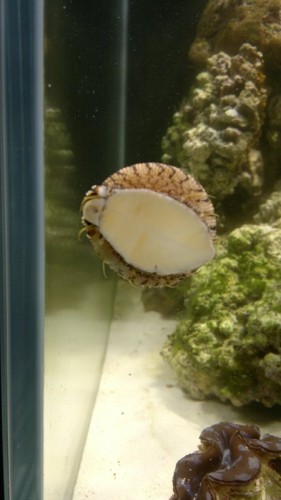 27102010084.jpg