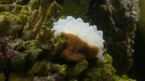 27102010086.jpg