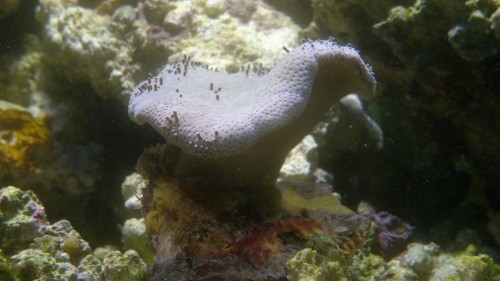 27102010089.jpg