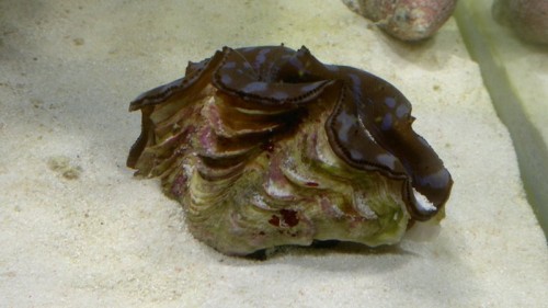 27102010095.jpg