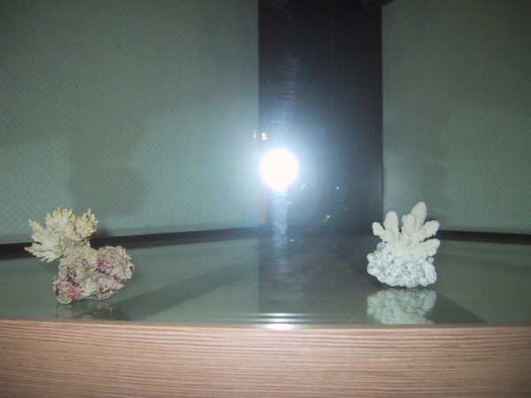 BTN modul v 242 (600 x 450).jpg