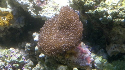 27102010118.jpg
