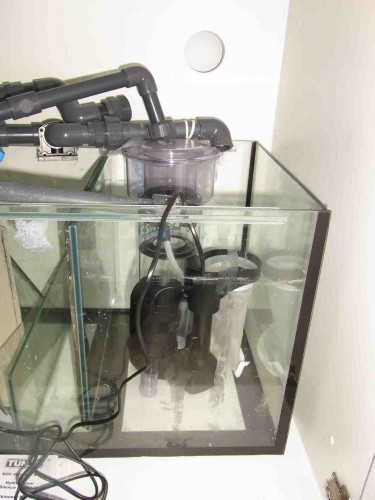RIMG0329.jpg