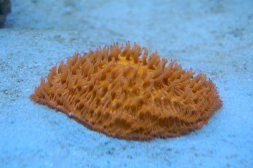 DSC_0340.jpg
