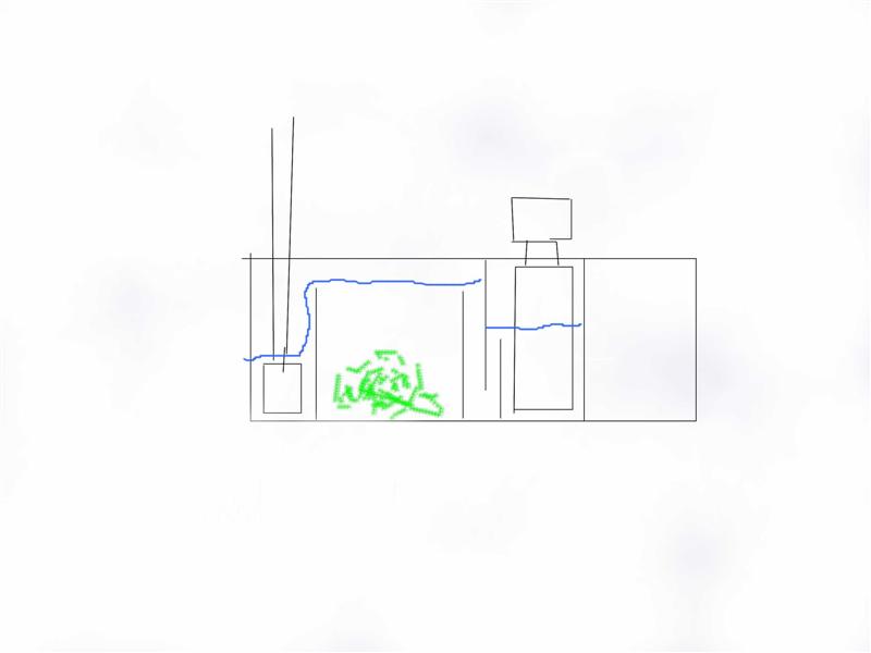 sump (Medium).jpg