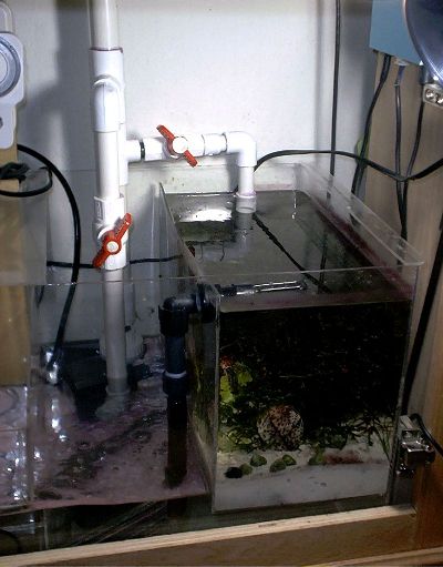 mag9_5__plumbed.jpg