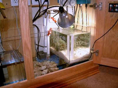 55_newsump_r.jpg