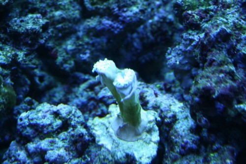 IMG_5017_small.JPG