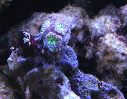 RIMG0056.jpg