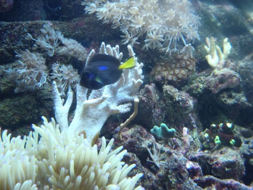PB100099-1024.jpg