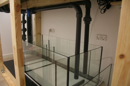 saltvand 4.JPG