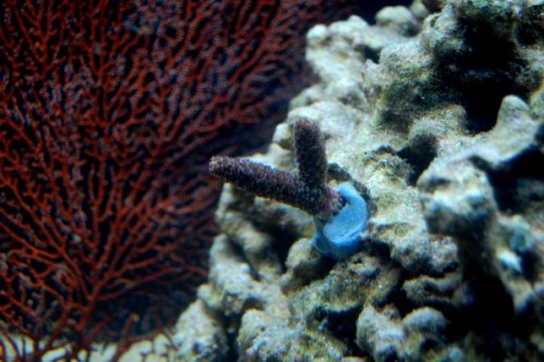 DSC_0394.jpg