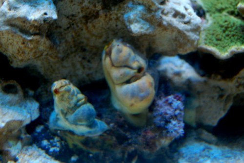 DSC_0397.jpg