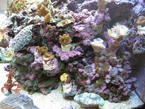 IMG_7625 (Medium).JPG