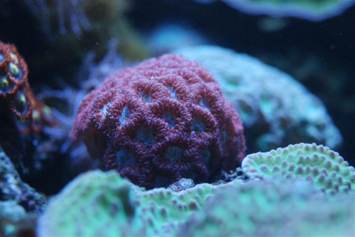 DSC_0574.JPG