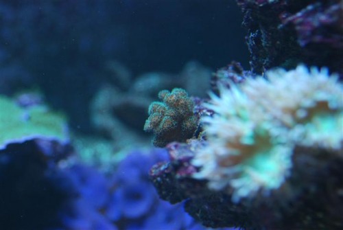 DSC_0578.JPG