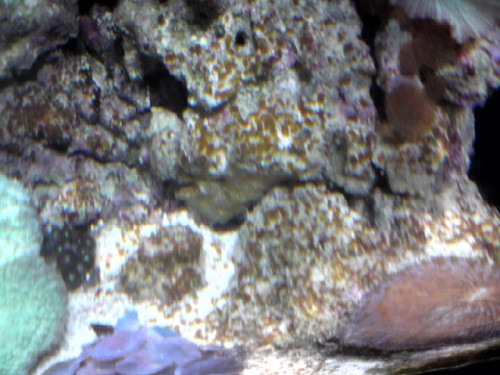 DSC00912.JPG