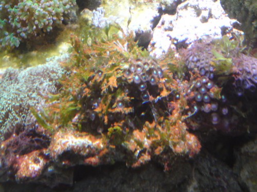 DSC00910.JPG
