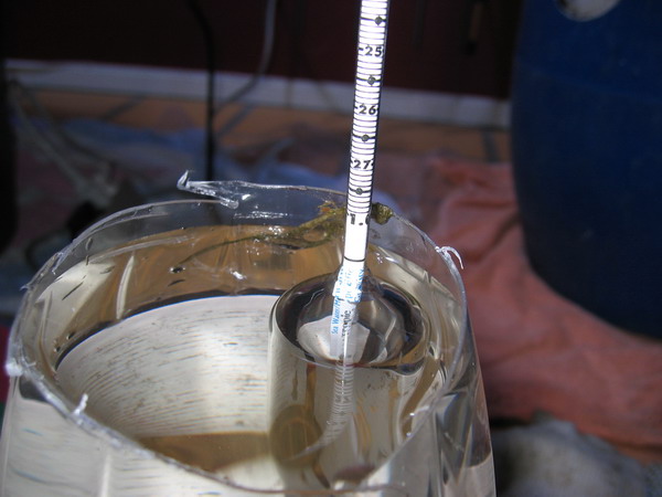 Akvarie 2004.jpg