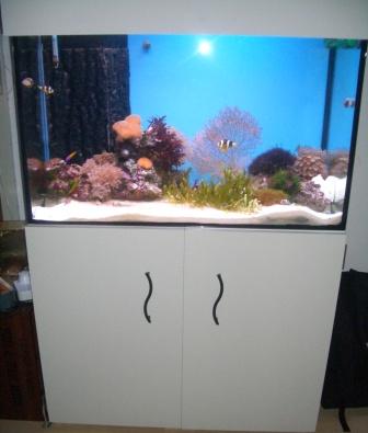 akvarie2.JPG