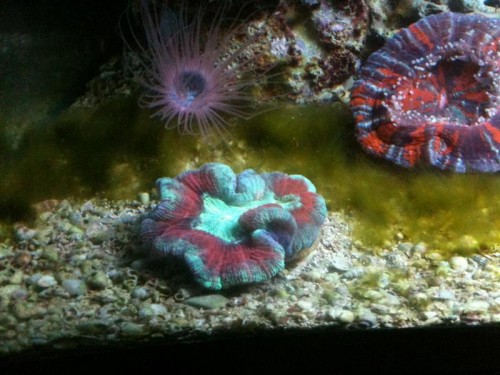 IMG_0254 (Medium).jpg