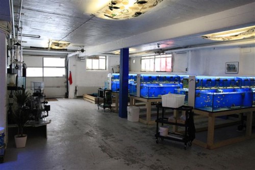 Besøg 1 (Small).JPG