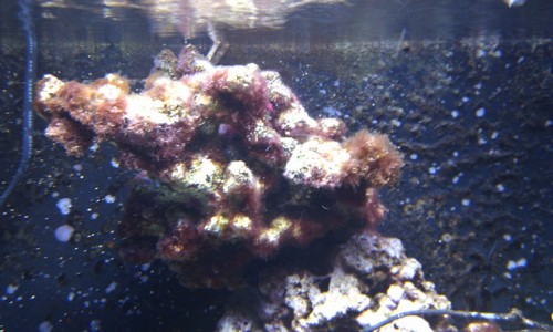 IMAG0091.jpg