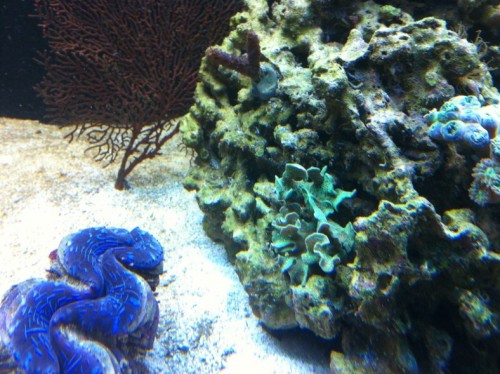 IMG_0584.jpg
