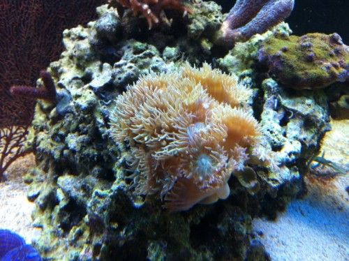IMG_0578.jpg