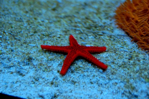 DSC_0503.jpg