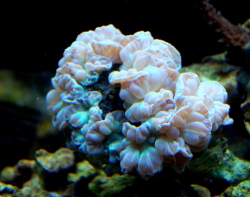DSC_0507.jpg