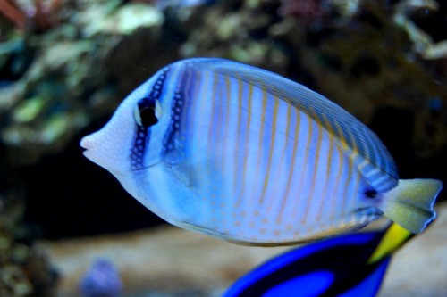 DSC_0535.jpg