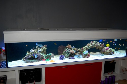 DSC_0563.jpg