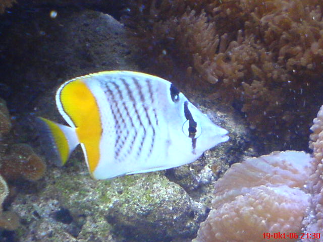 DSC00061.JPG
