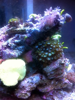 IMG_0191.jpeg