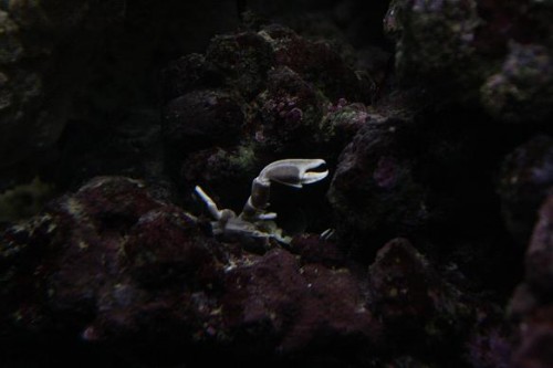 IMG_5390.JPG