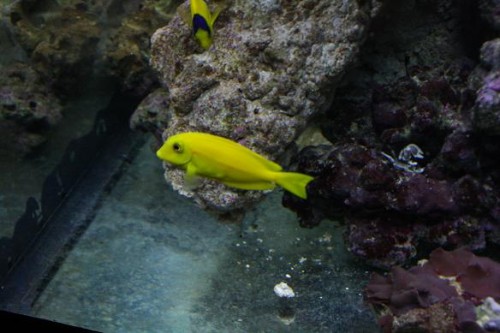 IMG_5395.JPG