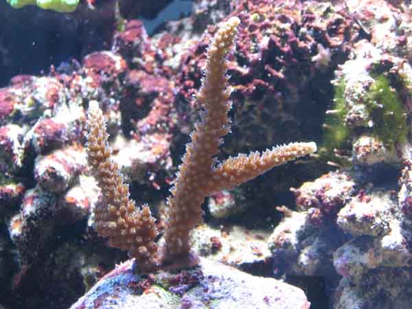 IMG_3.jpg