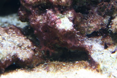 IMG_5129_small.JPG