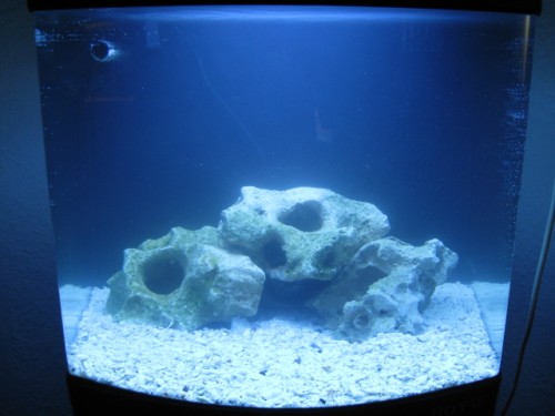 Til saltvandsforum.JPG (157.3 KiB) Vist 6160 gange Første billede fra opstart