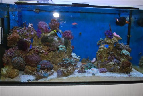 DSC_1969 (Small).JPG