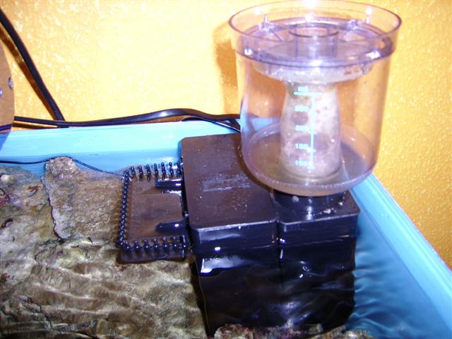 SSA50084 (Small).JPG