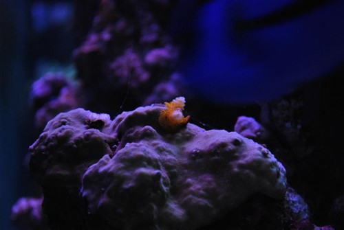 DSC_2100 (Small).JPG