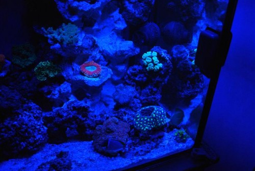 DSC_2068 (Small).JPG