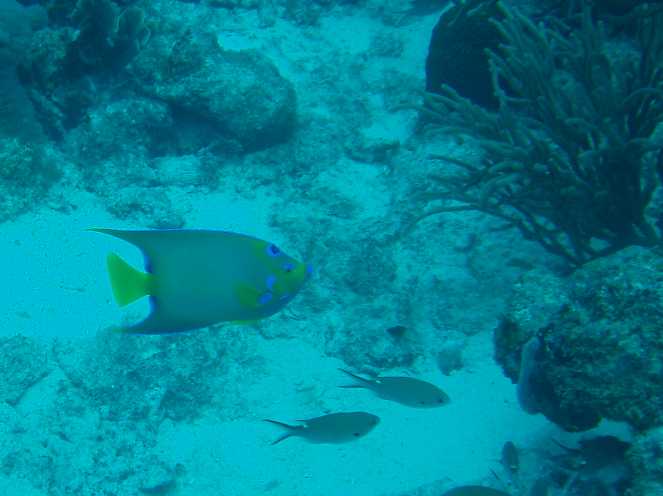 PA160116.JPG