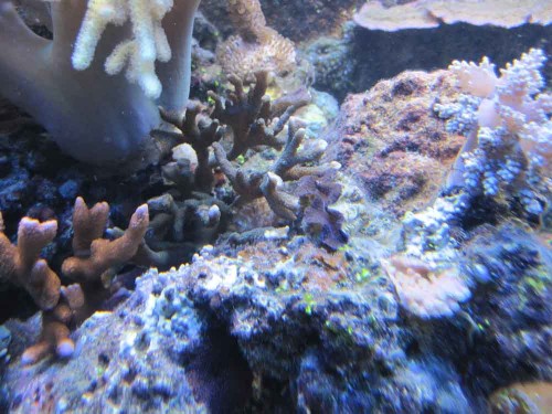 IMG_2693.jpg